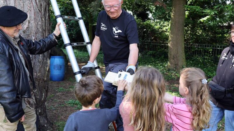 Artenschutz in Mönchengladbach: Naturschutzbund spendiert sieben neue Fledermauskästen