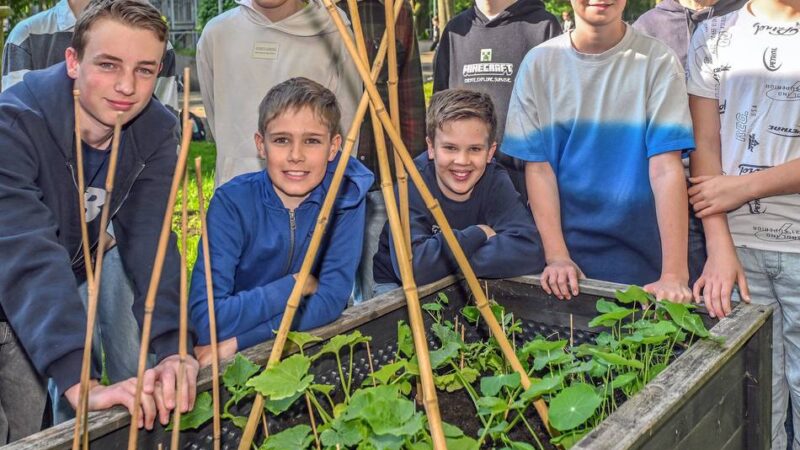 „Beet Battle“ für Schulen: Wer erntet die beste Mahlzeit?