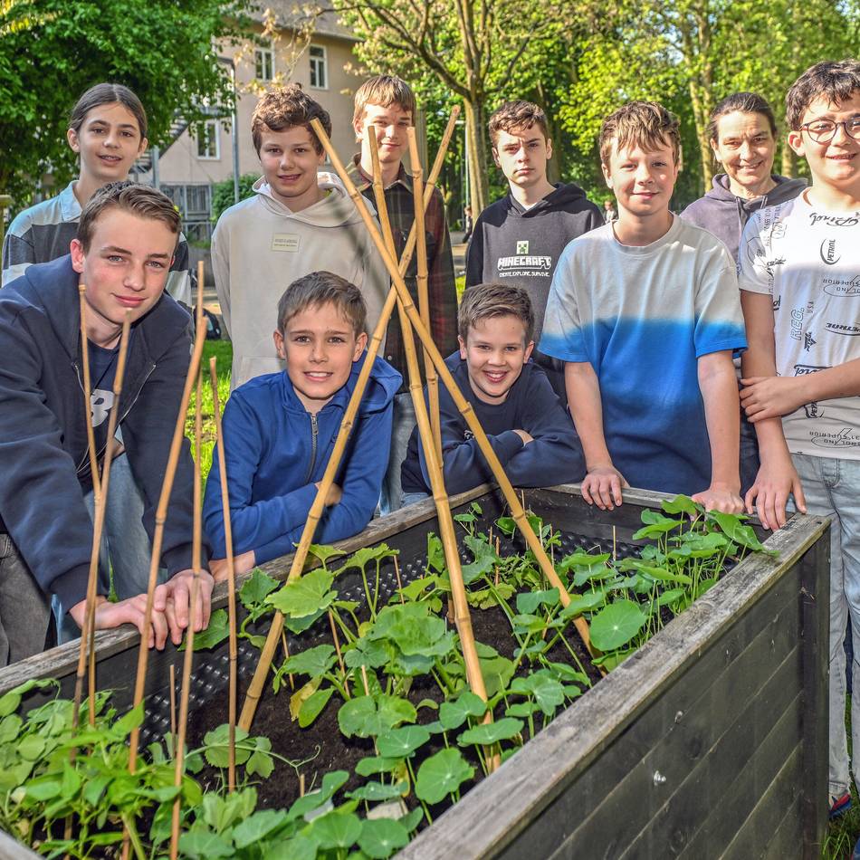 „Beet Battle“ für Schulen: Wer erntet die beste Mahlzeit?