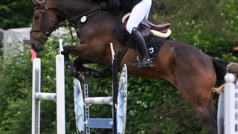 Historische Premiere: Mehrfache Medaillengewinnerin reitet am Wochenende in Sevelen