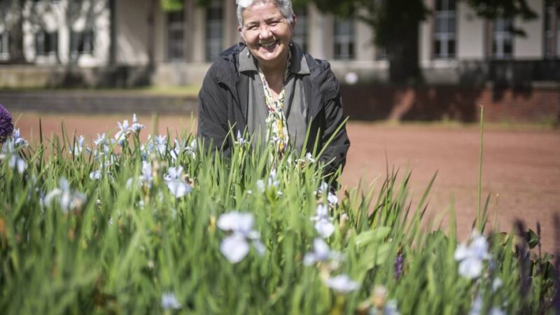 Doris Törkel im Gespräch: „Zu fast jeder Baumart gibt es mittlerweile eine Krankheit“