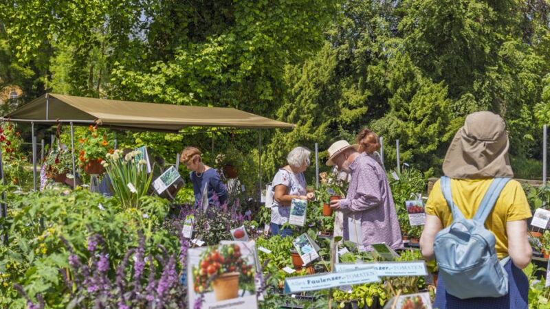 Gartenlust auf Schloss Dyck: Baumeln in der Seelenliege aus Lärchenholz