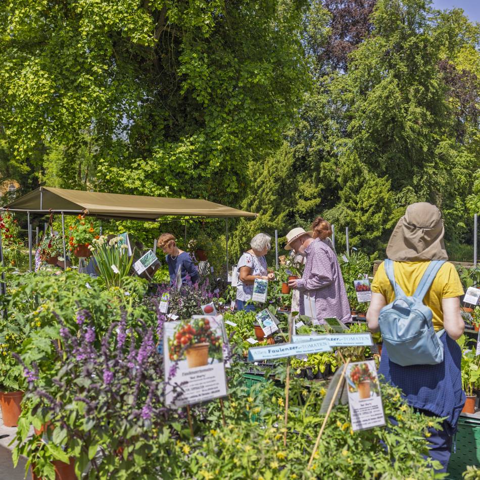 Gartenlust auf Schloss Dyck: Baumeln in der Seelenliege aus Lärchenholz
