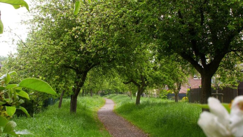 Schönheitskur zur Internationalen Gartenausstellung: Wie sich Sonsbeck zur IGA verändert