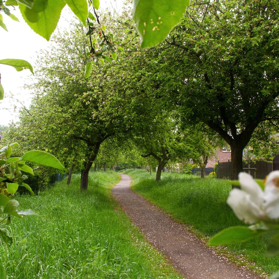 Schönheitskur zur Internationalen Gartenausstellung: Wie sich Sonsbeck zur IGA verändert
