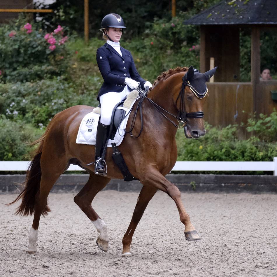 Reitsport im Kreis Mettmann: Vom Einsteiger bis zum Europameister: Dressurturnier zieht Fans an