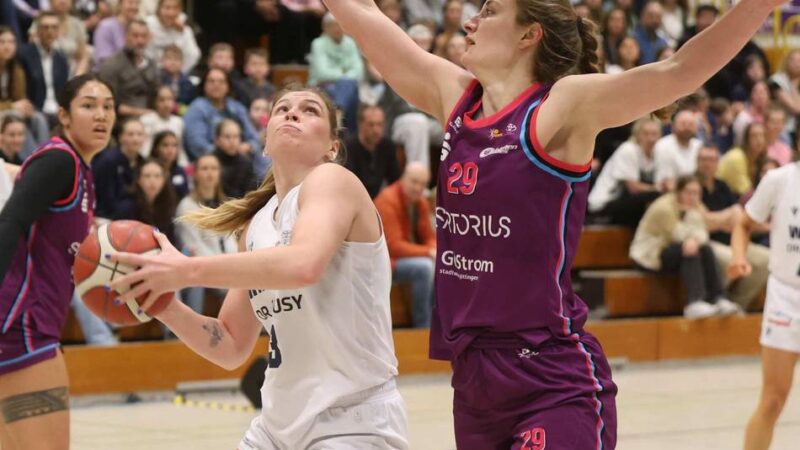 Zwei deutliche Siege gegen Würzburg: Wings ziehen souverän ins Final Four ein