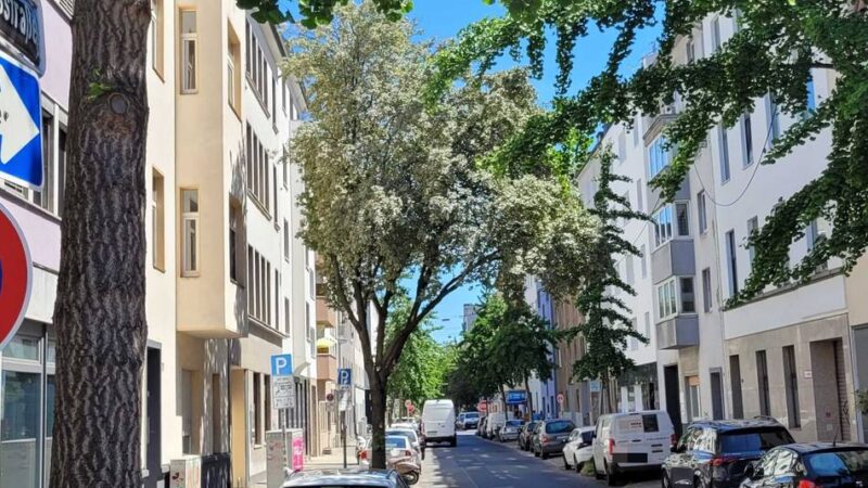 Bluttat in Düsseldorf: Mann in Friedrichstadt erstochen – zwei Verdächtige festgenommen