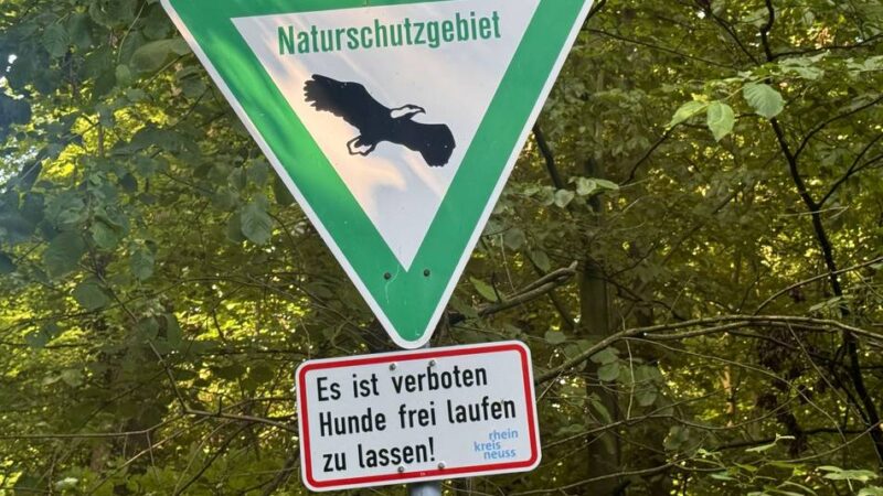 Naturschutzgebiet in Korschenbroich: Im Liedberger Haag weisen Schilder auf Anleinpflicht hin