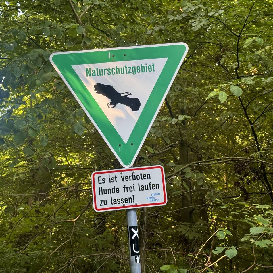 Naturschutzgebiet in Korschenbroich: Im Liedberger Haag weisen Schilder auf Anleinpflicht hin