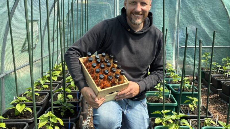 Auch für „Schärfe-Anfänger“ geeignet: Mit Chilis aus eigenem Anbau – Grevenbroicher ist Herr der scharfen Soßen