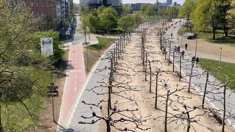 Mobilität in Düsseldorf: Neue Ampel an der Kaiserswerther Straße für Radleitroute