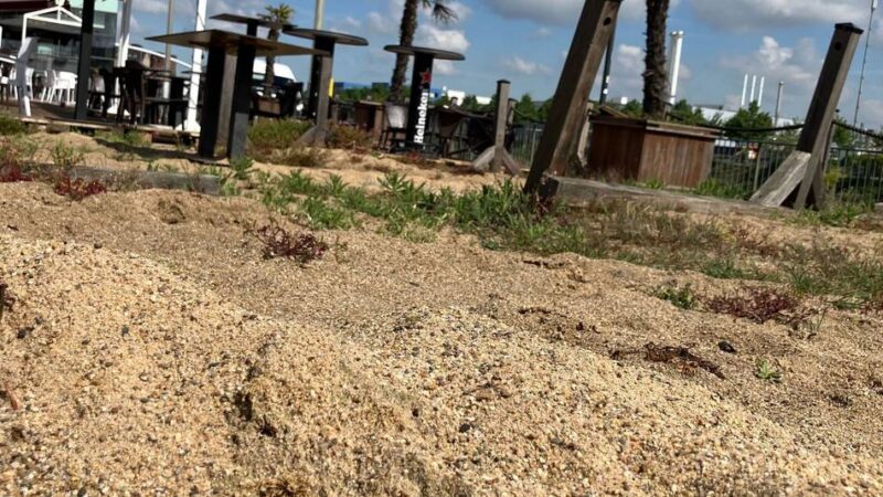 Kuriose Kleinanzeige: Warum ein Neusser Wirt mehrere Tonnen Sand verschenkt