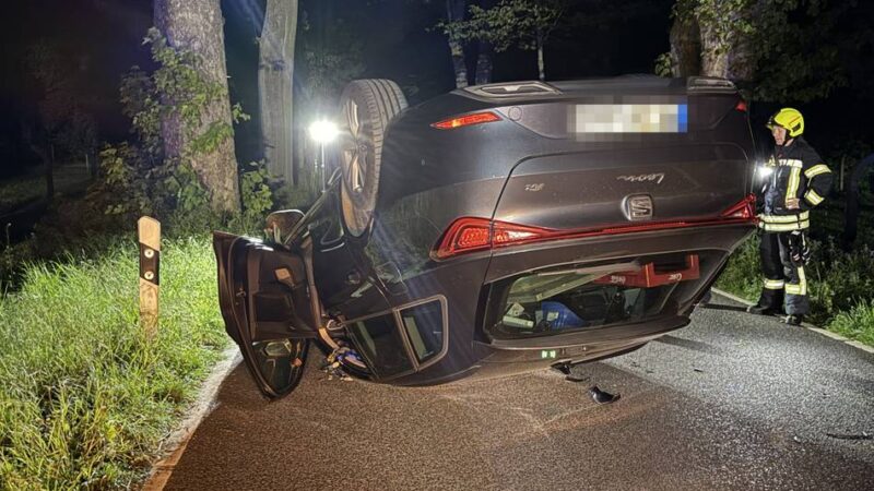 Ende einer Alkoholfahrt in Jüchen: Unfall an prächtiger Buchen-Allee bei Schoss Dyck – Auto landet auf dem Dach