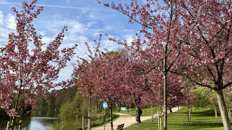 Millionenprojekt vor der Landesgartenschau: Neue Sitzstufen sollen Klever am Bleichenberg ans Wasser bringen