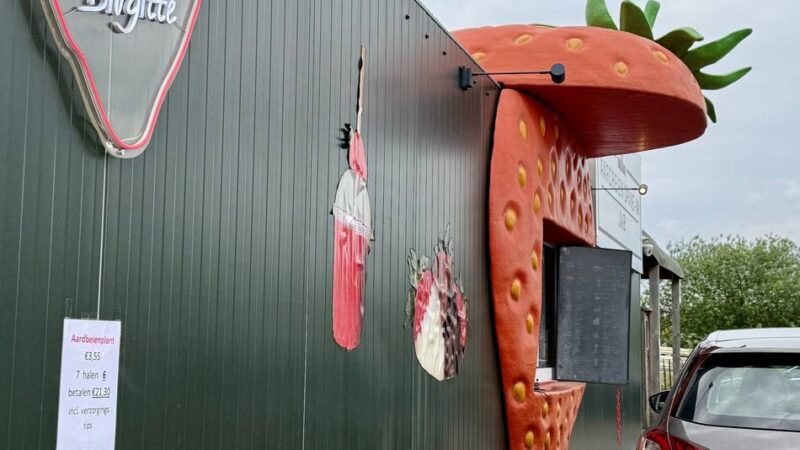 In Uden in den Niederlanden: Im Erdbeer-Drive-in stehen Deutsche Schlange – aus gutem Grund