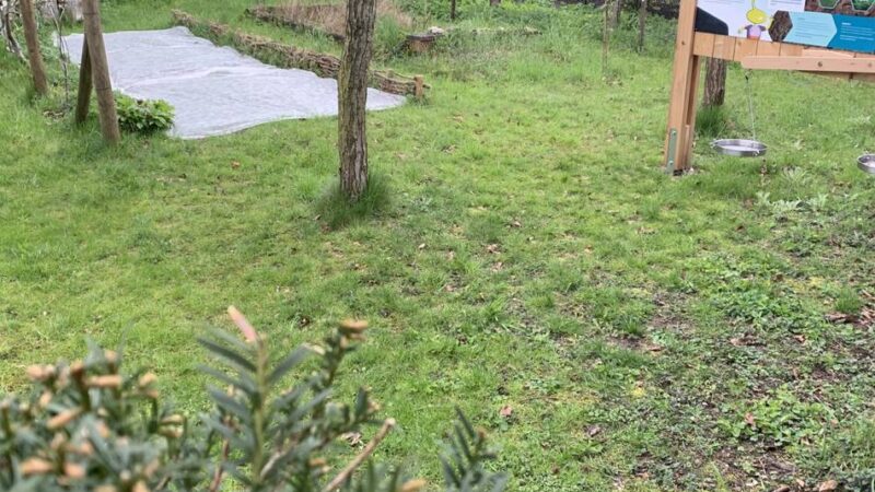 Naturerlebnis am Niederrhein: Lehrgarten in Sonsbeck öffnet an zwei Sonntagen seine Pforte