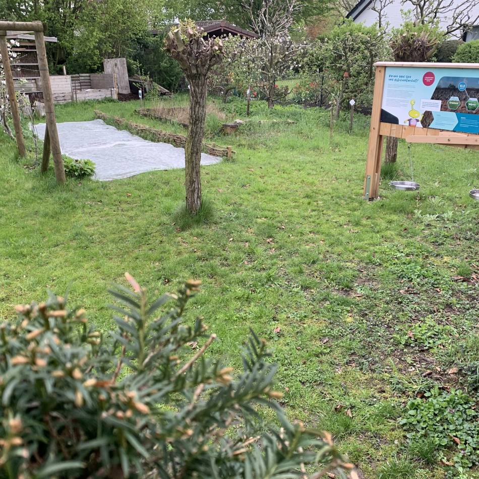 Naturerlebnis am Niederrhein: Lehrgarten in Sonsbeck öffnet an zwei Sonntagen seine Pforte