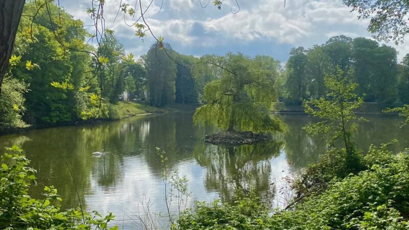 Freizeit in Düsseldorf: Unterwegs im Grünen – die städtischen Führungen im Juni