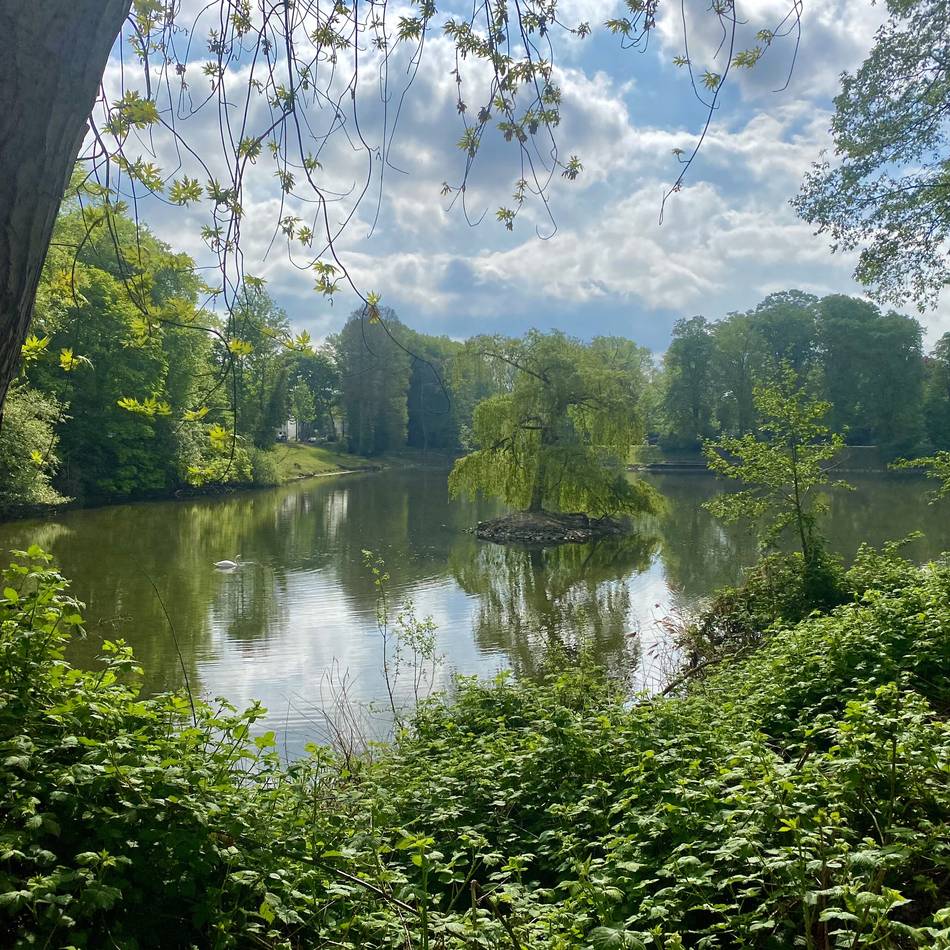 Freizeit in Düsseldorf: Unterwegs im Grünen – die städtischen Führungen im Juni