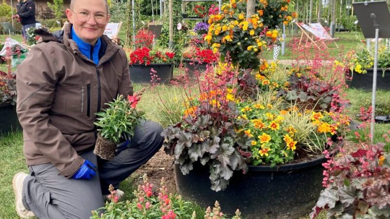 Sommerblüten lösen Tulpen ab: Laga-Gelände in Neuss wird neu bepflanzt