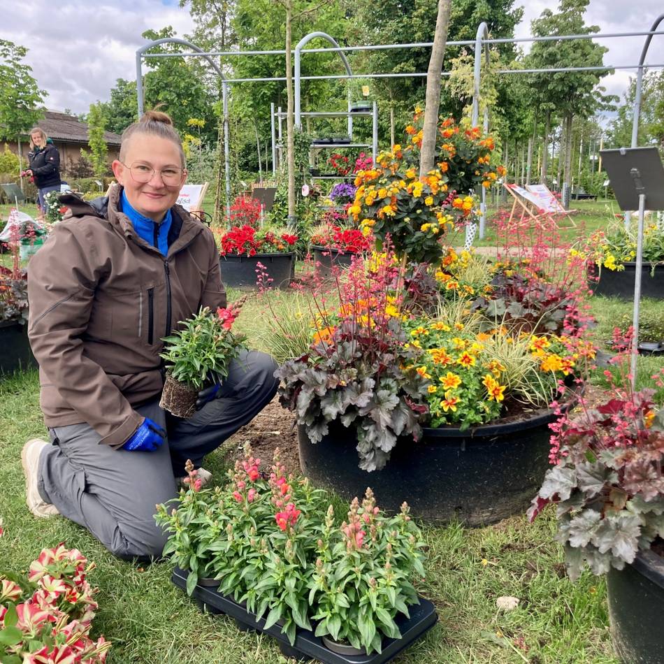 Sommerblüten lösen Tulpen ab: Laga-Gelände in Neuss wird neu bepflanzt
