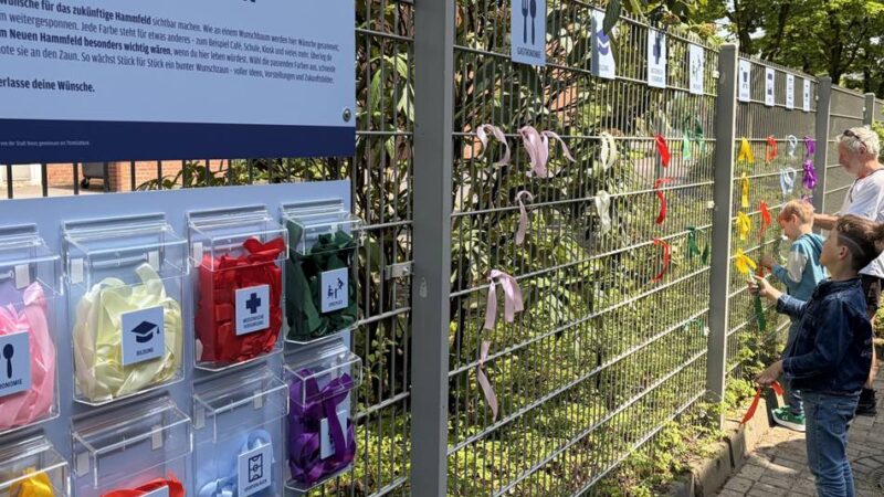 Städtebauförderung in Neuss: Stadt sammelt Ideen zur Entwicklung des Hammfelds