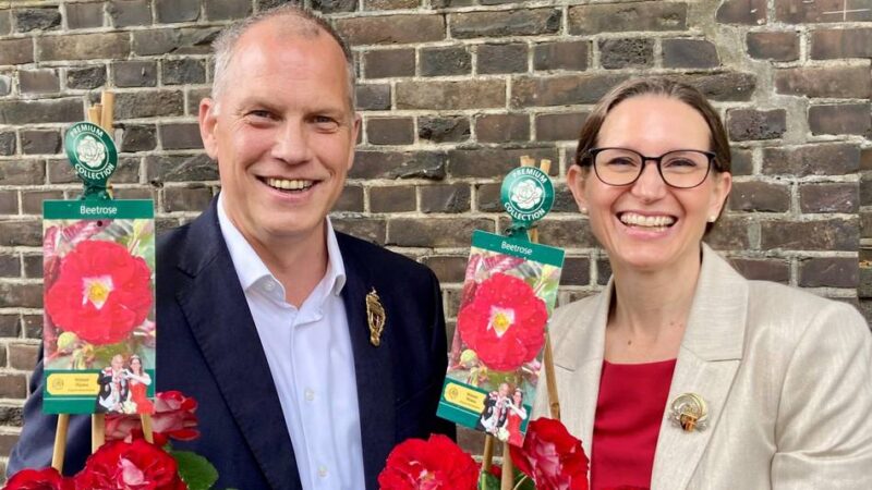 Eigene Züchtung für Neuss: Schützenkönigspaar schenkt der Stadt eine eigene Rose