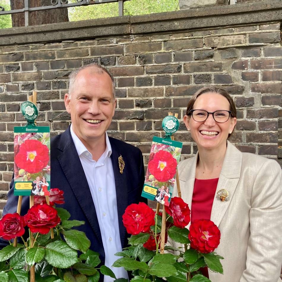 Eigene Züchtung für Neuss: Schützenkönigspaar schenkt der Stadt eine eigene Rose