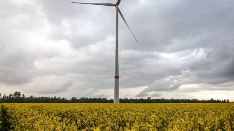 Erneuerbare Energien in Rommerskirchen: Windkraft ist wieder Thema im Rat