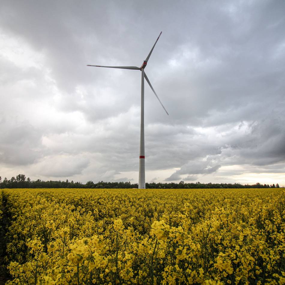 Erneuerbare Energien in Rommerskirchen: Windkraft ist wieder Thema im Rat