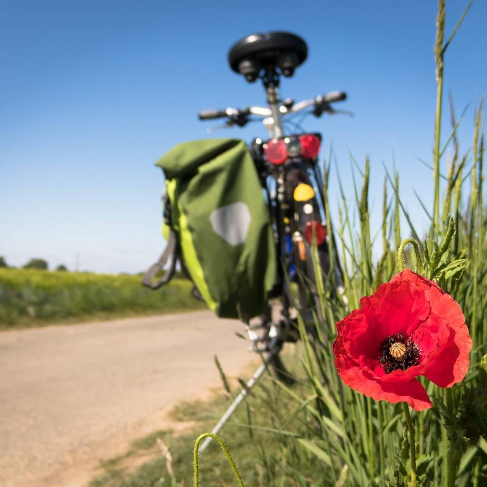 Urlaub in Emmerich: Lange Wochenenden laden zum Entdecken der Heimat ein
