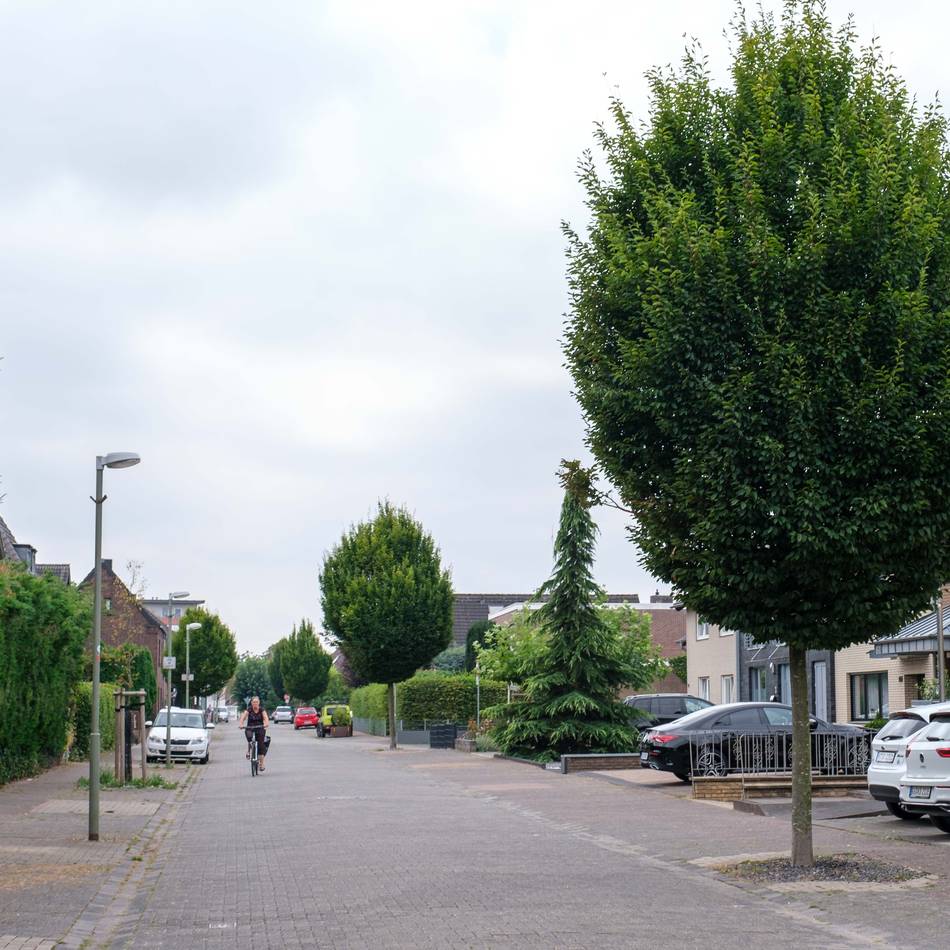 Ortsteilgespräch mit klarem Fokus: Eckumer warten seit Jahren auf Fahrradstraße an der Kastanienallee