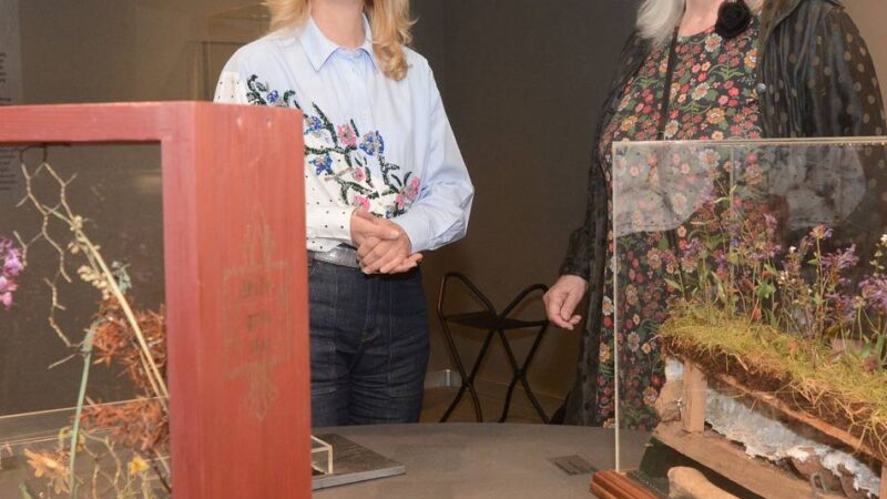Neue Ausstellung in Neuss: Museum lädt in den „Garten der Erinnerung“