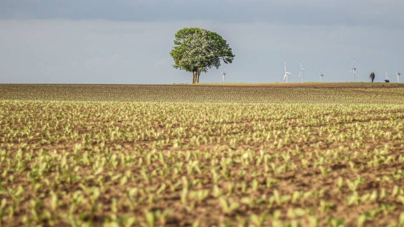Bedenken bei Bauern: Drahtesel auf Feldwegen – Jüchener diskutieren Radwege