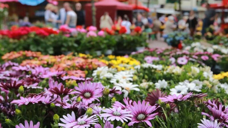 Wochenende in Leichlingen: Frühlingsfest und verkaufsoffener Sonntag laden ein