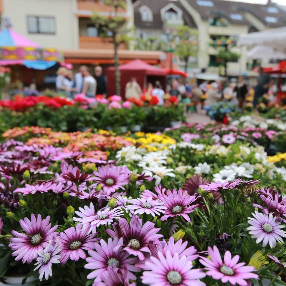Wochenende in Leichlingen: Frühlingsfest und verkaufsoffener Sonntag laden ein