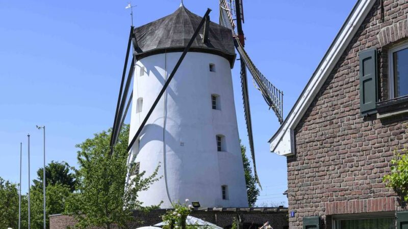Pfingstmontag in Büttgen: Braunsmühle erlebt großen Andrang beim Mühlentag
