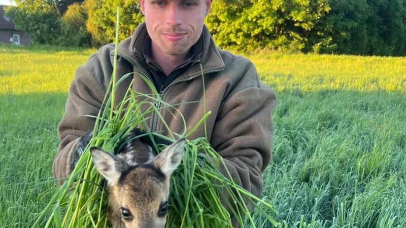 Ehrenamtlicher Einsatz im Kreis Wesel: Jäger retten Rehkitze vor dem Mähtod