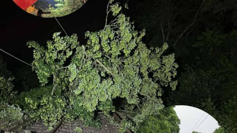 Einsatz in Hilden: Feuerwehr sichert S1-Bahnstrecke nach Baumsturz