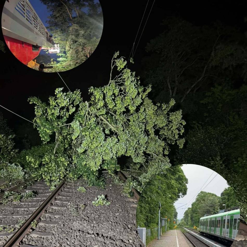 Einsatz in Hilden: Feuerwehr sichert S1-Bahnstrecke nach Baumsturz