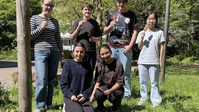 Umweltpreis Rhein-Kreis Neuss 2026: Quirinus-Schüler begrünen ihren Schulhof