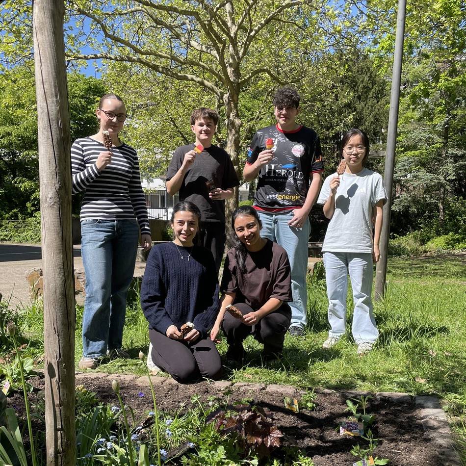 Umweltpreis Rhein-Kreis Neuss 2026: Quirinus-Schüler begrünen ihren Schulhof