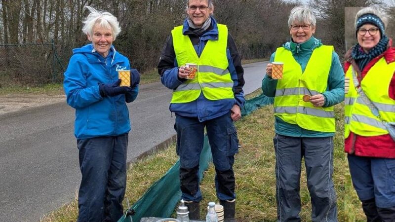 Umweltpreis Rhein-Kreis Neuss 2026: Ehrenamtler retten tausende Amphibien in Kaarst