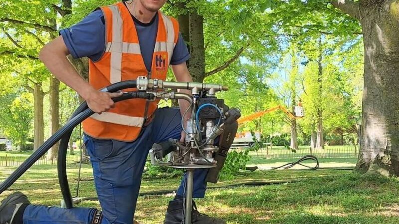 Modellversuch in Meerbusch: Stadt will alte Bäume mit „Vitaminspritze“ retten