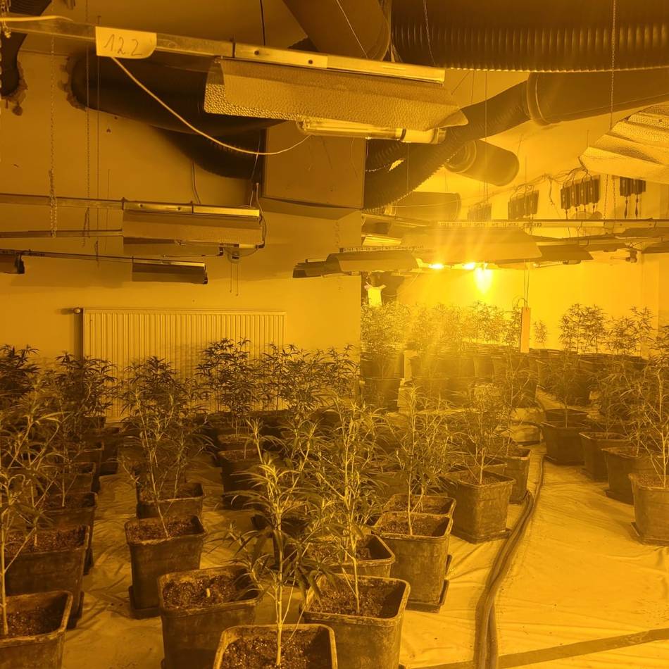 Langericht Mönchengladbach: Mutmaßlicher Kopf eines Cannabis-Netzwerks freigesprochen