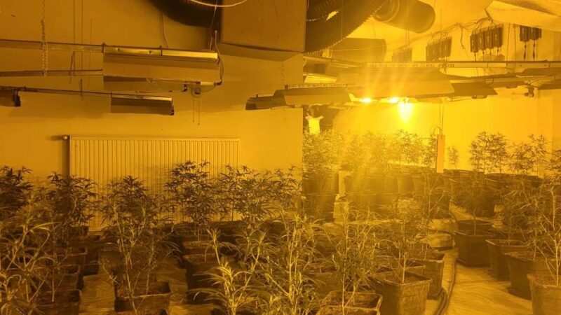 Angeklagter in Mönchengladbach gesteht: Prozess um 334 Kilo Cannabis – der Drahtzieher war als „Papa“ bekannt