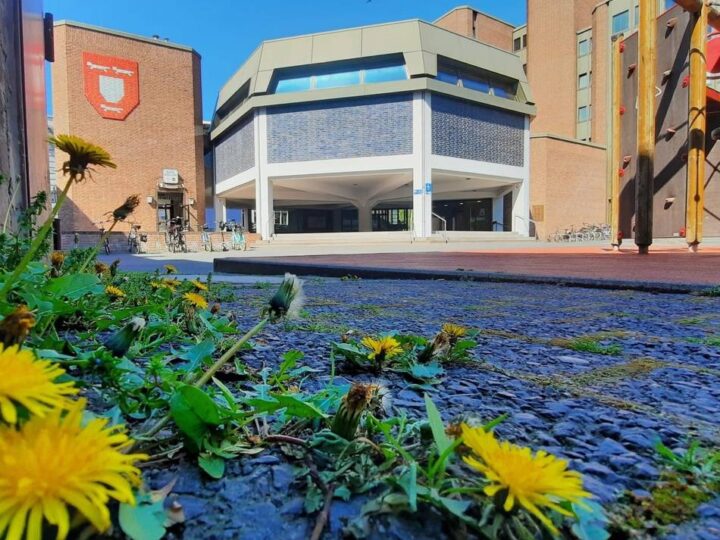 Maßnahmen für Hunderttausende Euro: Ratskeller im Weseler Rathaus muss saniert werden – droht Restaurant das Aus?