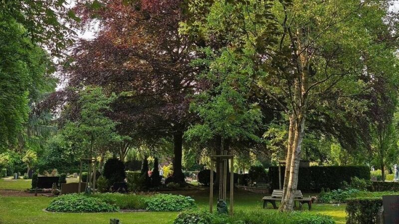 Satzung ermöglicht diesen Schritt: Stadt Nettetal will ungepflegte Gräber einebnen