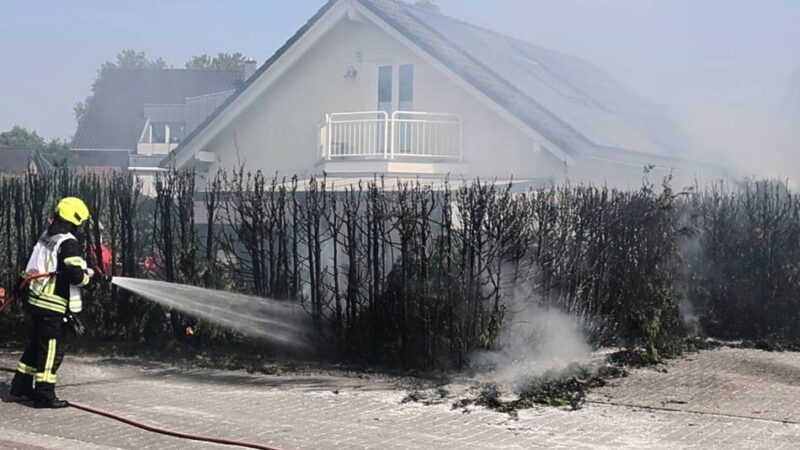Feuerwehreinsatz in Bedburdyck: Unkrautbrenner setzte Hecke in Brand